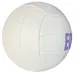 Custom Indoor Volleyball White Panel Design with EOE Branding Custom Indoor Volleyball White Panel Design with EOE Branding