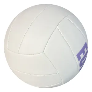 Custom Indoor Volleyball  White Panel Design with EOE Branding